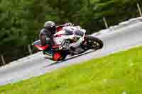 Brno;event-digital-images;motorbikes;no-limits;peter-wileman-photography;trackday;trackday-digital-images